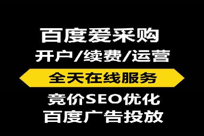 某行业领军企业的SEM广告投放策略